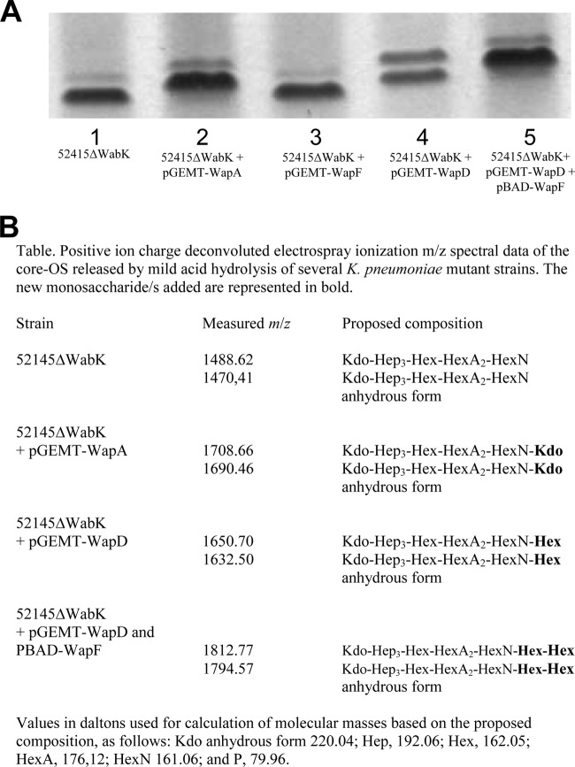 FIG 4