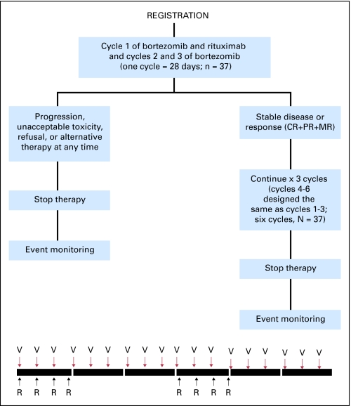 Fig 1.