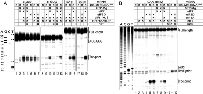 FIGURE 4.