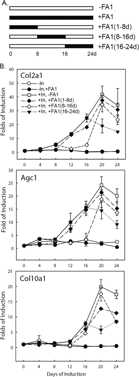 FIGURE 4.