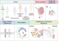 Graphical Abstract