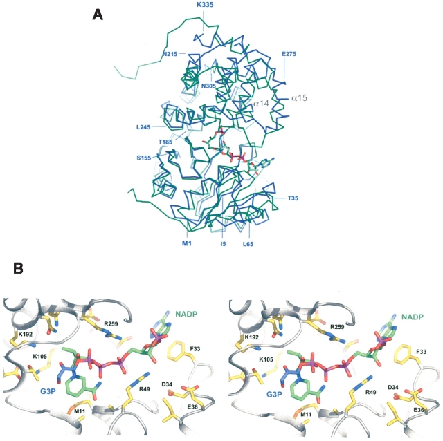 Figure 6.