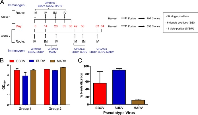 FIG 1