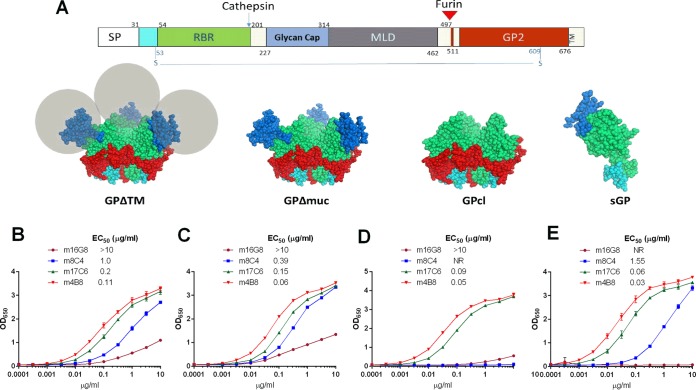 FIG 3