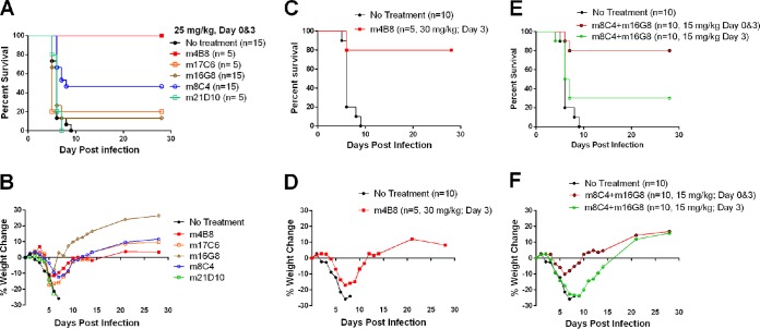 FIG 6