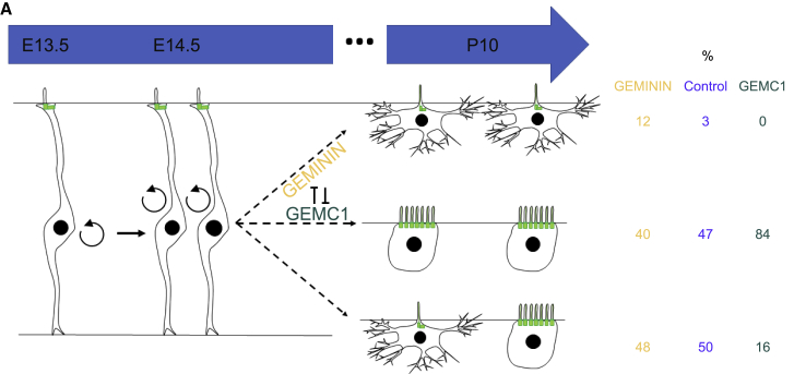 Figure 7