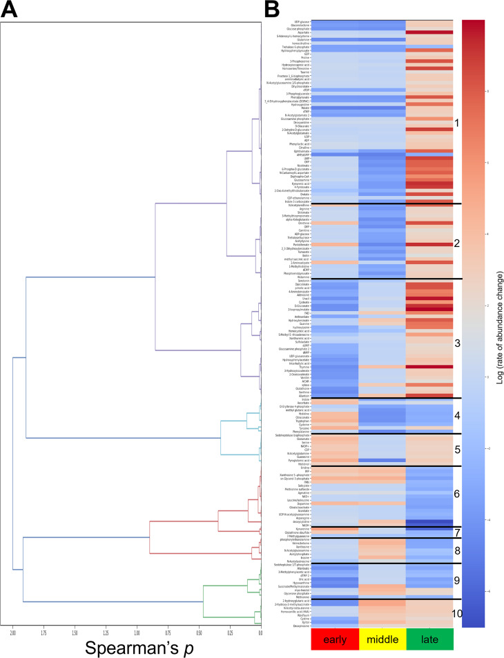 FIG 6