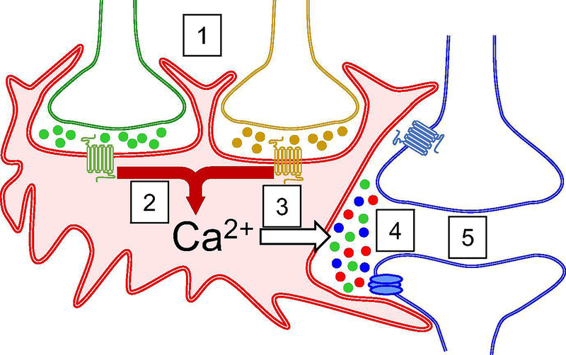 Fig. 1.