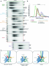 Extended Data Fig. 7