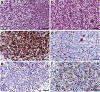 Figure 2: