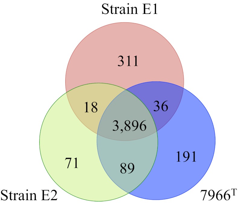 FIG 1 