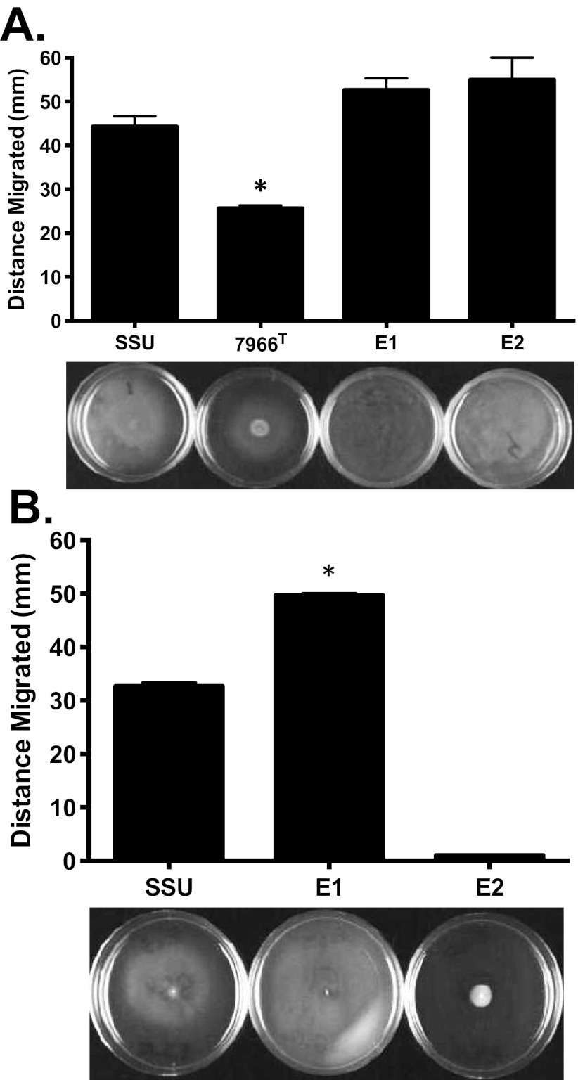 FIG 3 