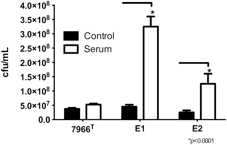 FIG 6 