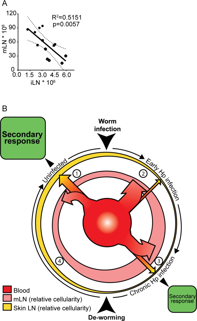 Fig 7