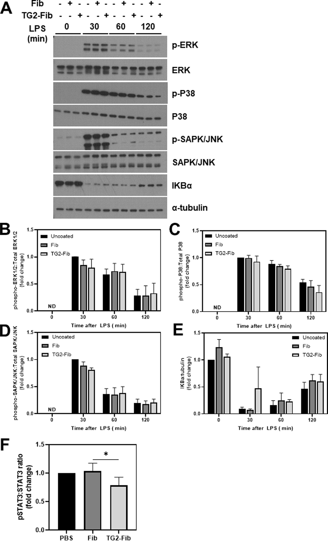 Figure 4: