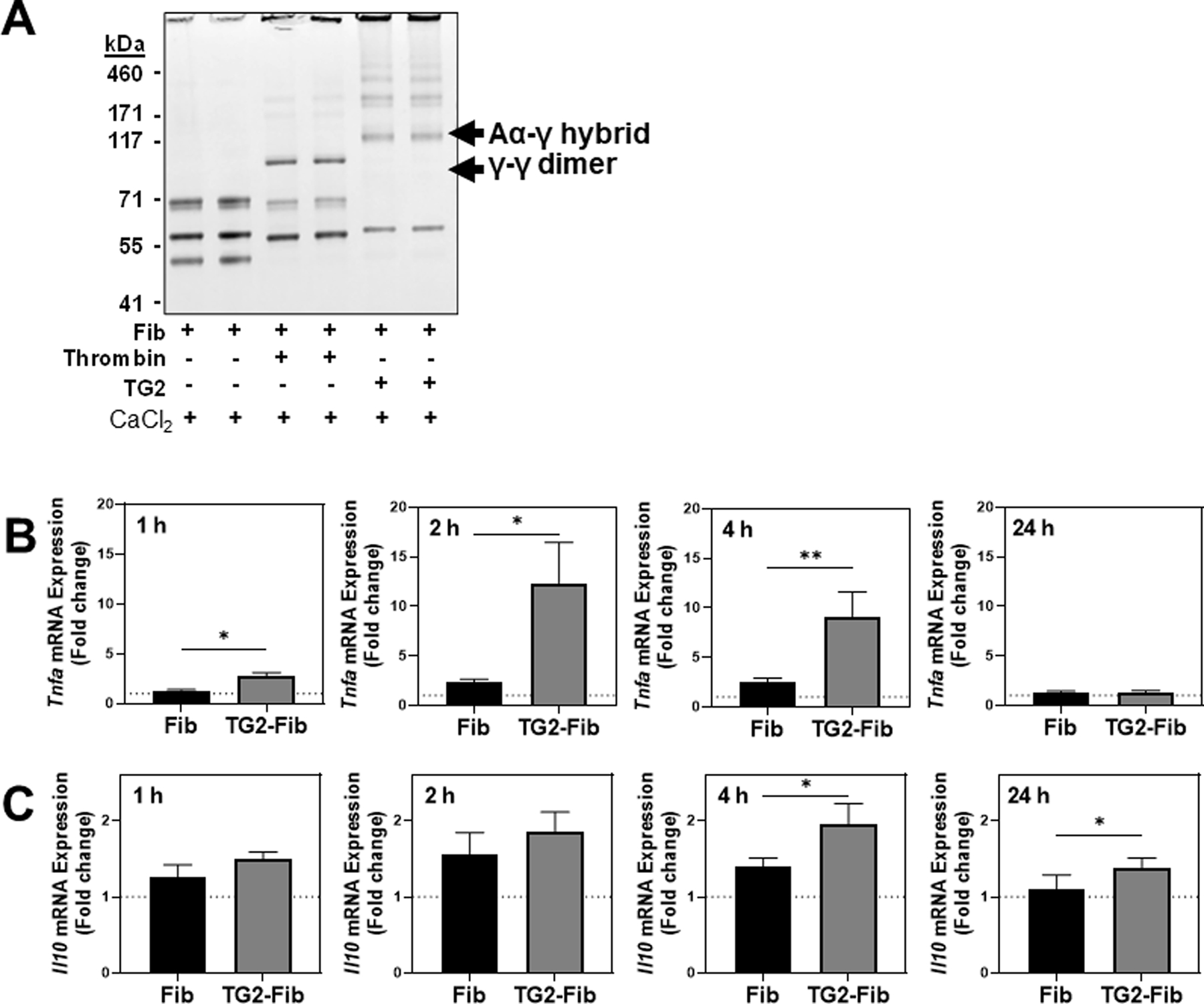 Figure 1: