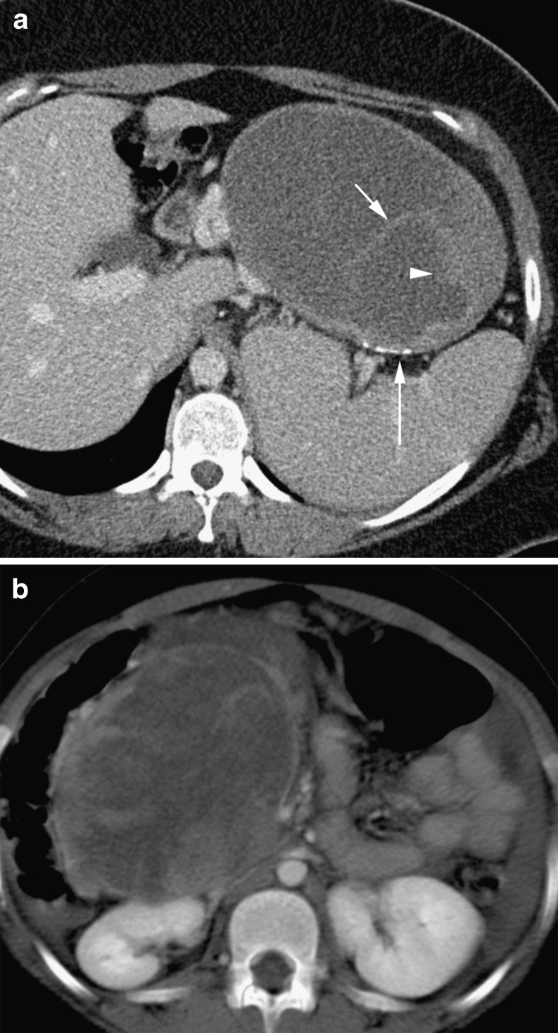 Fig. 9