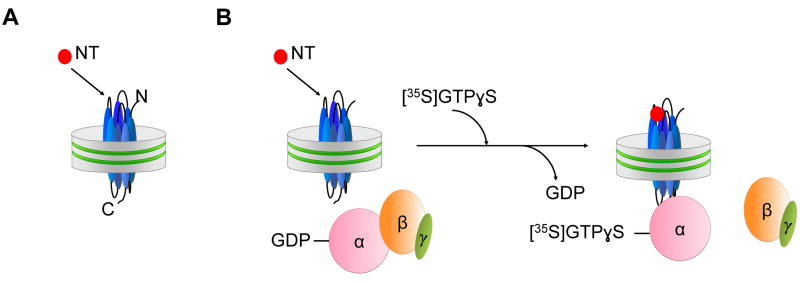 Figure 4.1