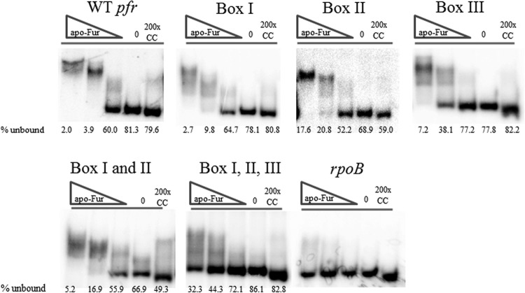 Fig 9