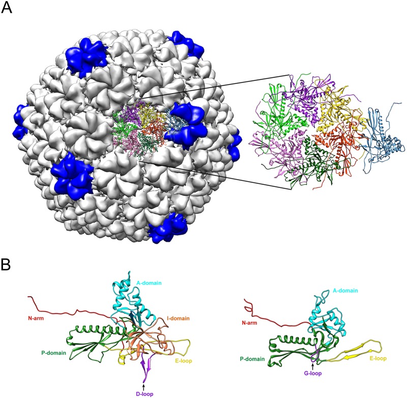 Fig 1