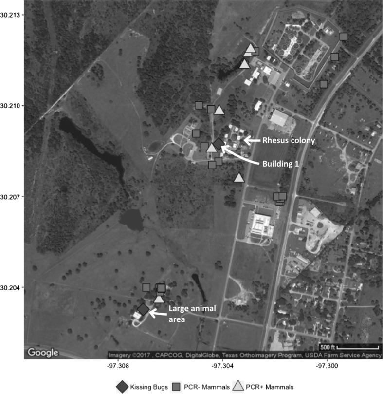 Figure 1