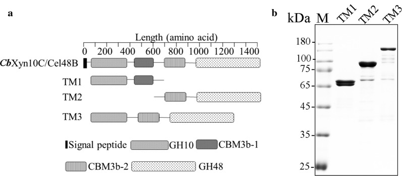 Fig. 1