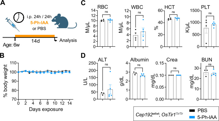 Figure 5: