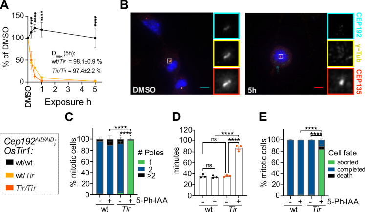 Figure 2: