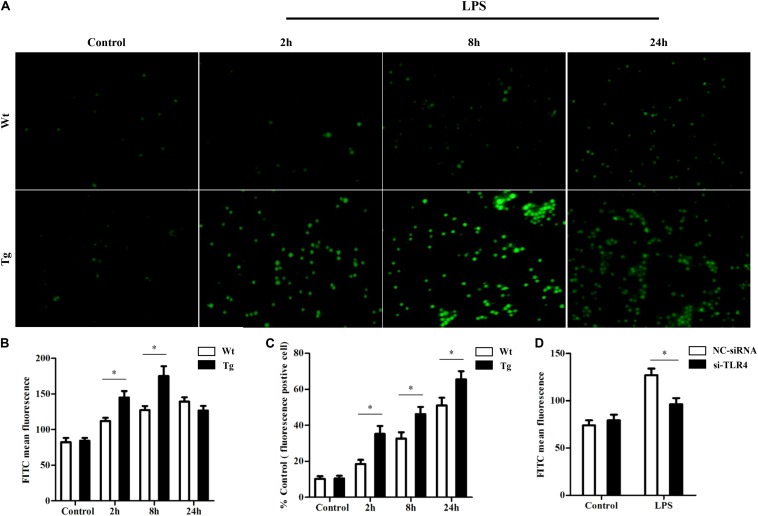 FIGURE 5