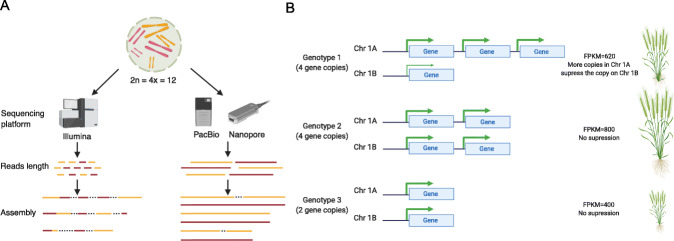 Fig. 4