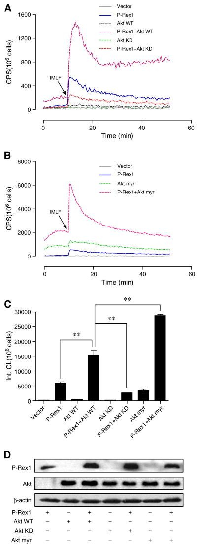 Fig. 9