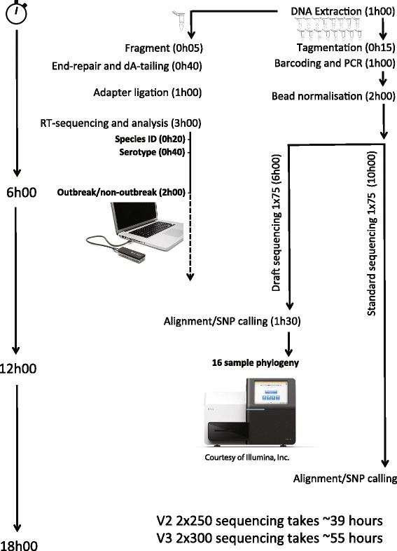 Fig. 6