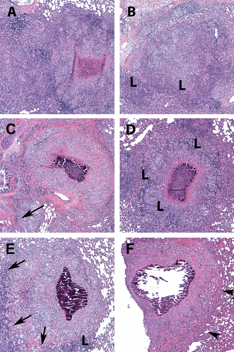 Figure 3 