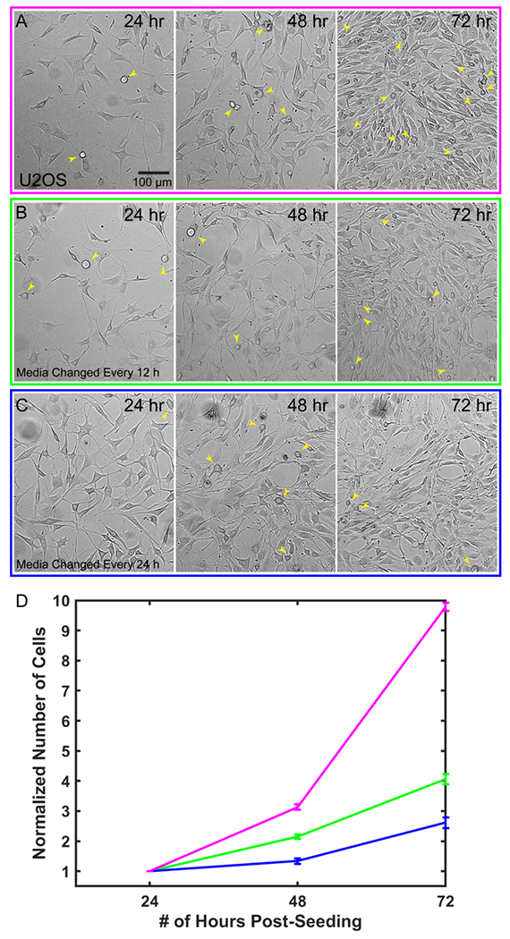 Figure 3.