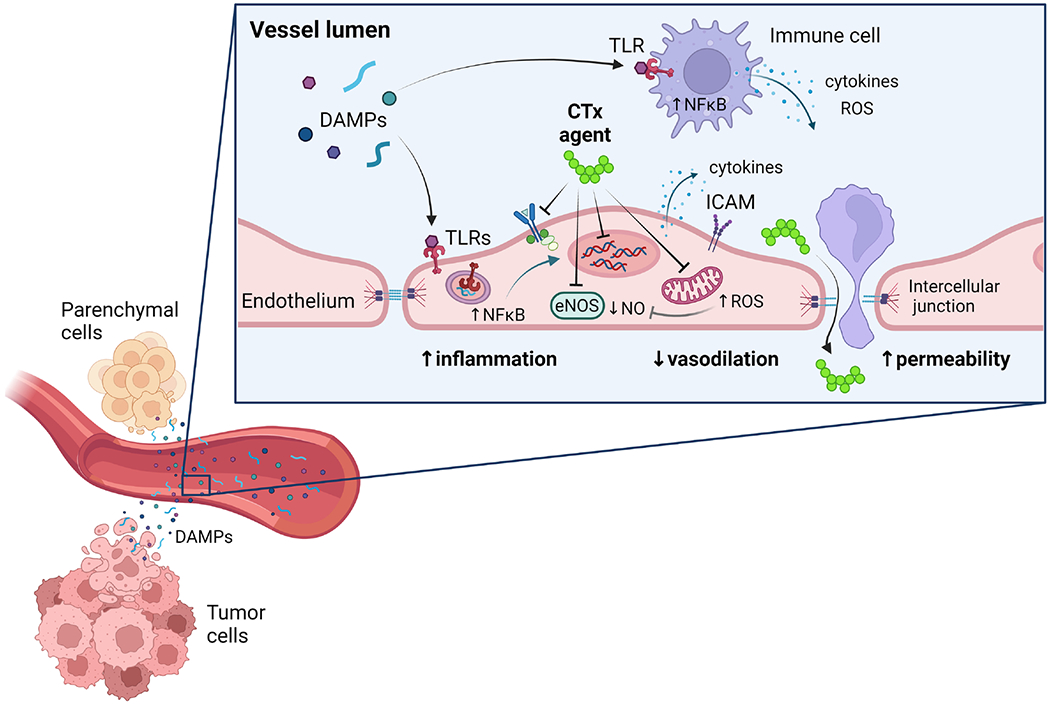 Figure 2: