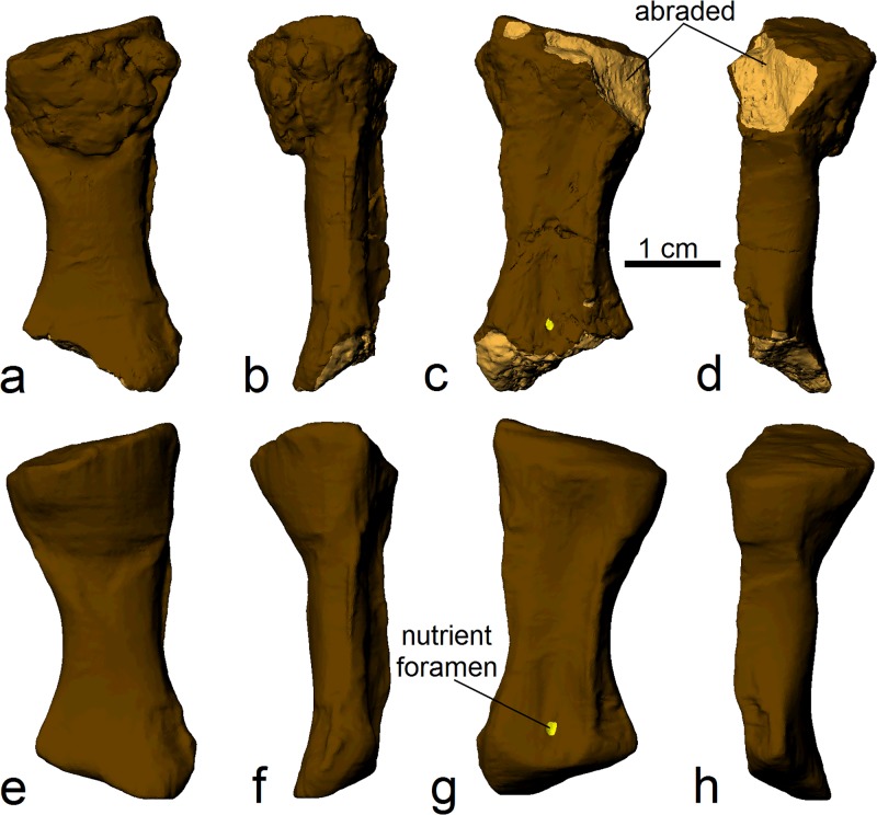 Fig 3