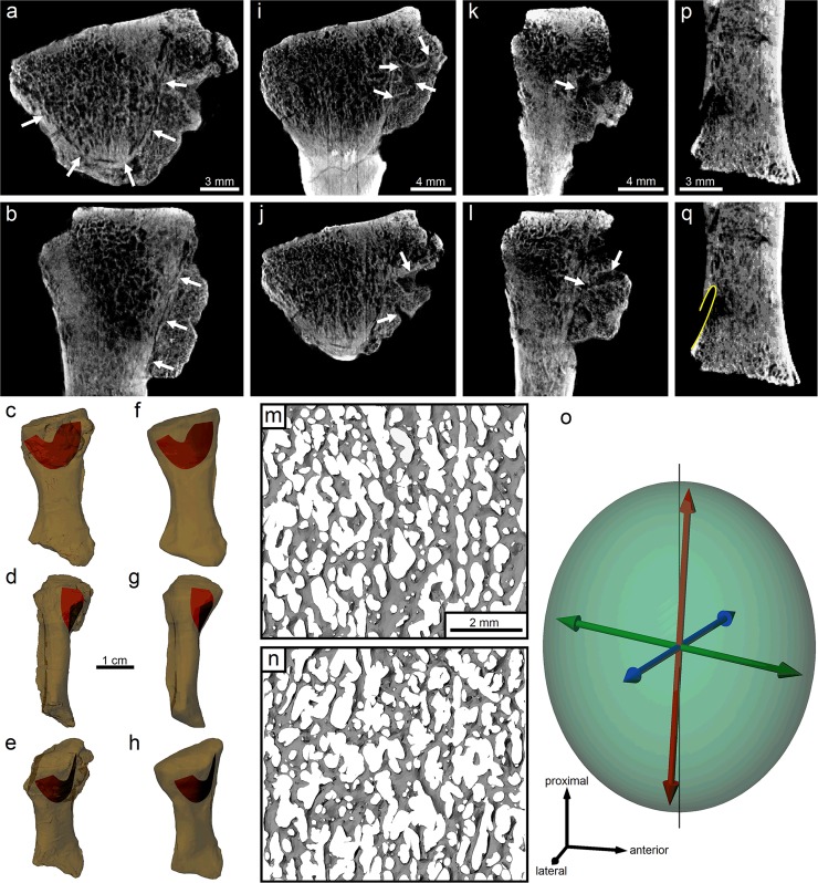 Fig 5