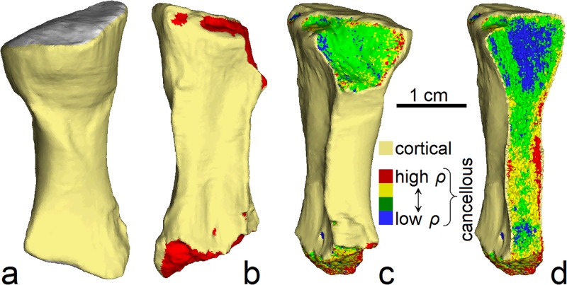 Fig 4