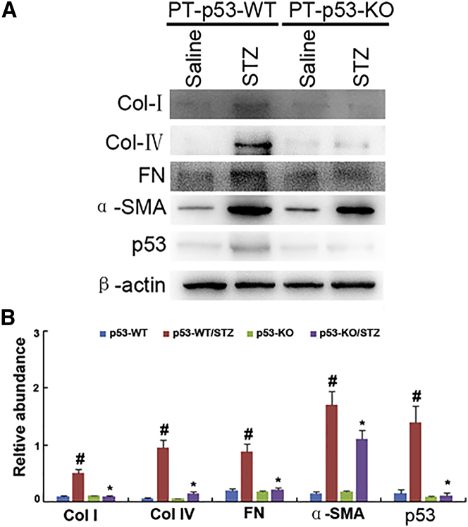 Figure 6