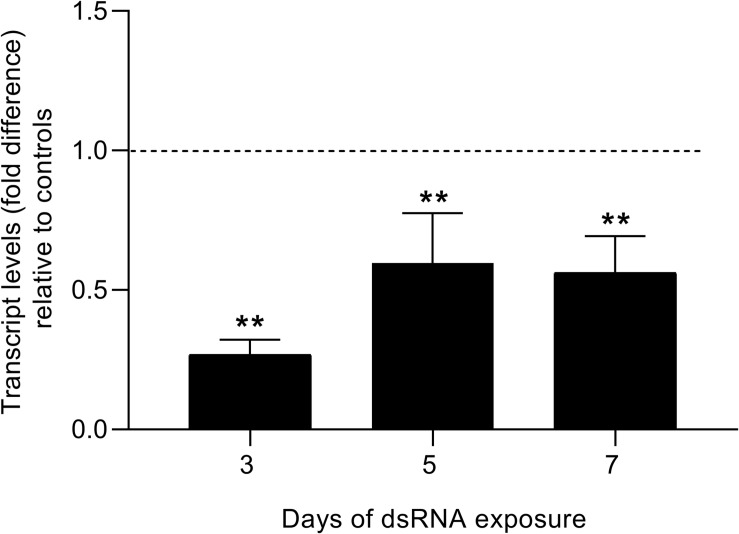 FIGURE 7