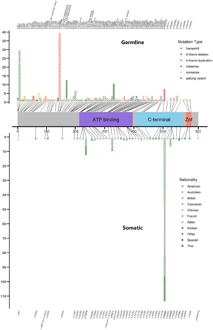 Figure 3.