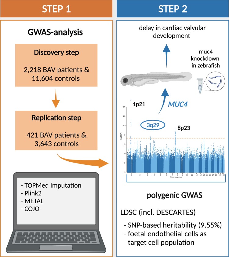 Graphical Abstract