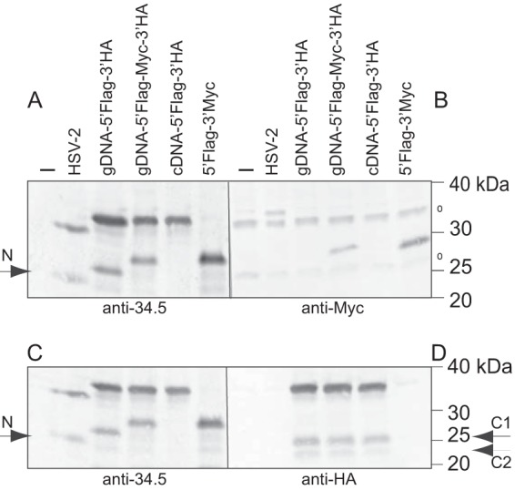 FIG 4