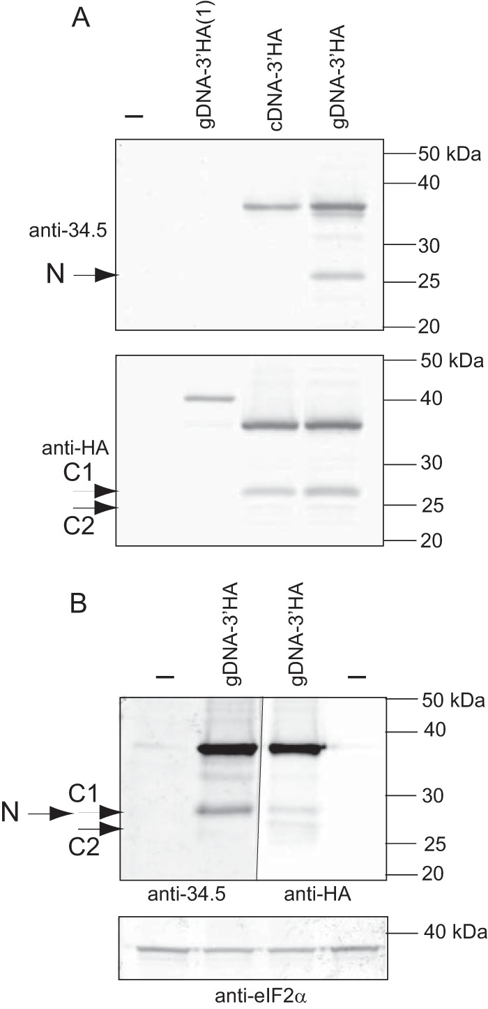 FIG 3