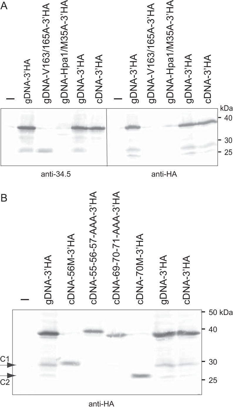 FIG 10