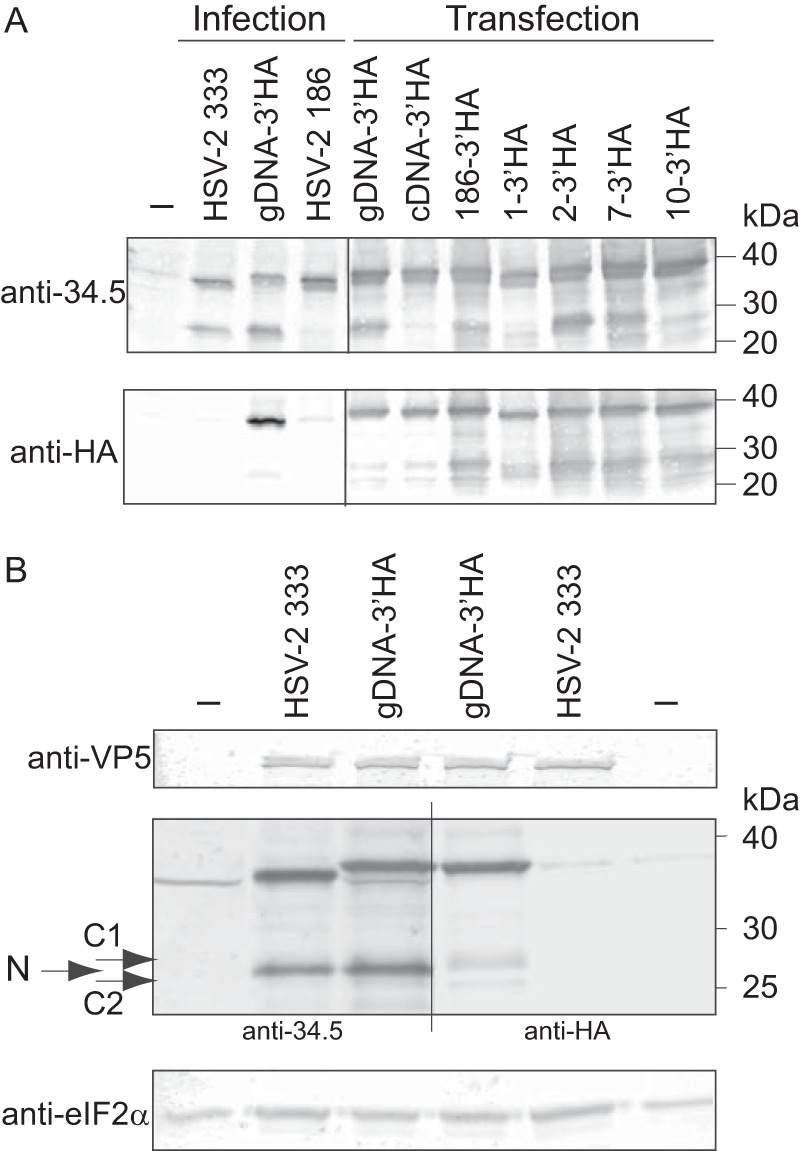 FIG 8