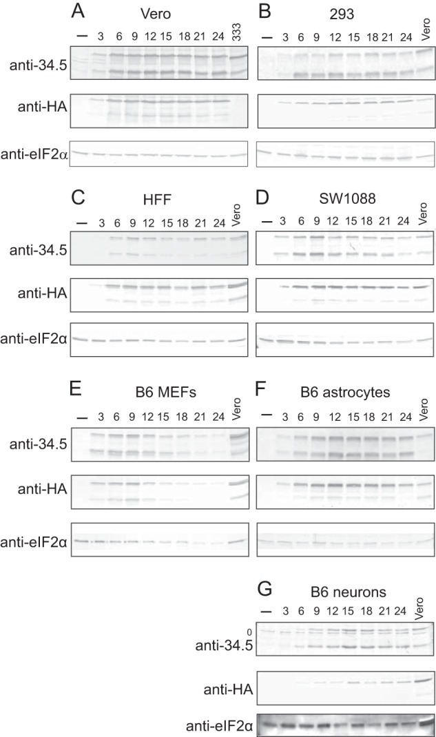 FIG 9