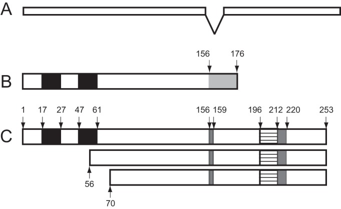 FIG 11