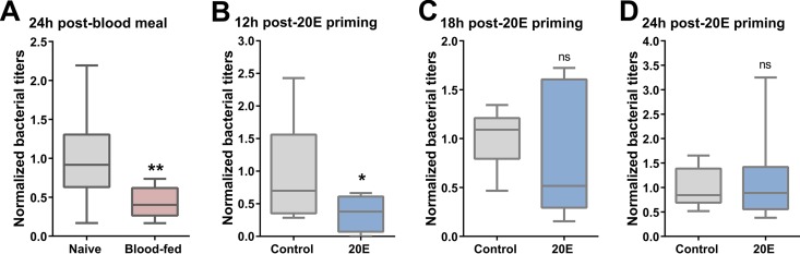 FIG 2