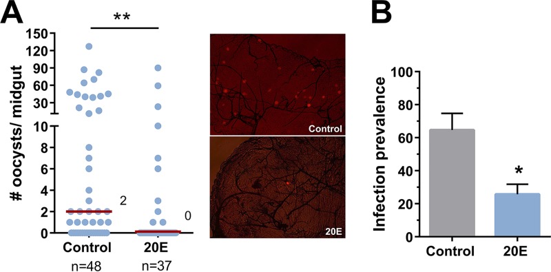 FIG 3